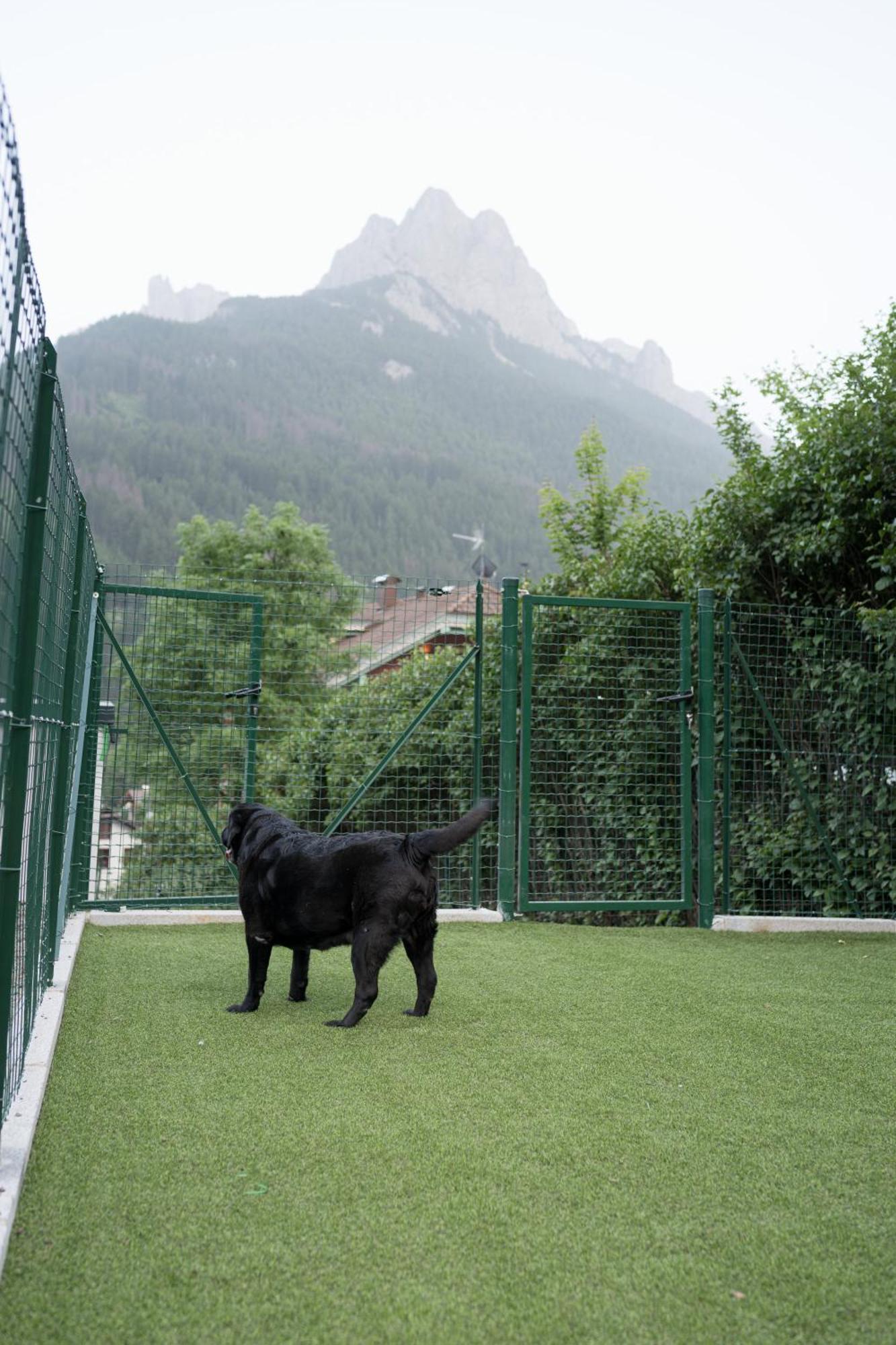 Dolomiti Exclusive Your Mountain Suite Pozza di Fassa Luaran gambar